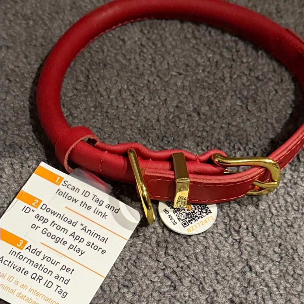 Red Leather Dog Collar with Gold Buckle with Activate QR ID tag